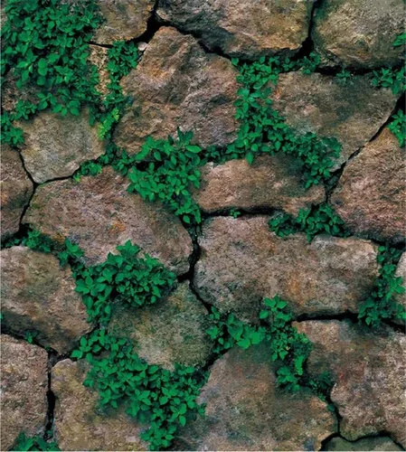 Yancorp Papel adhesivo de ladrillo de 10 pies para despegar y pegar, autoadhesivo, papel de contacto de piedra para chimenea, cocina, cubiertas para