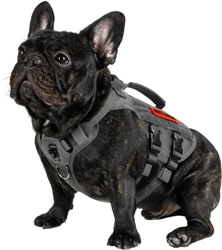 Miniatura 13 de OneTigris Arnés para perro sin tirón para perro pequeño, diseño de malla transpirable, chalecos militares Molle con asas para perros de servicio