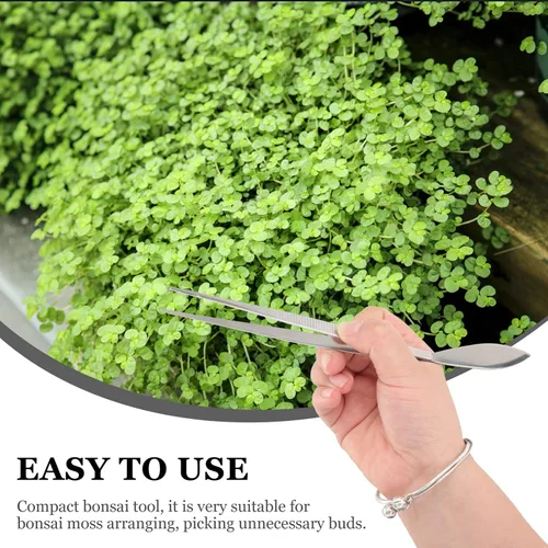 Miniatura 3 de Pinzas largas para manualidades, pinzas de acero inoxidable, pinzas para bonsái, pinzas rectas de mango largo con puntas dentadas, herramienta