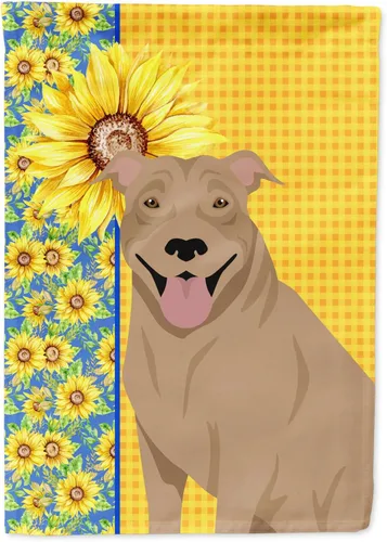 Miniatura 176 de Caroline's Treasures WDK5331CHF - Bandera de verano con diseño de girasoles rojos y blancos, manga grande, para porche, para colgar en la pared