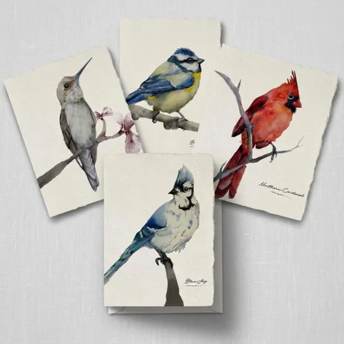 WANDERINGS Handmade Deckle Edge Blank Greeting Cards & Envelopes with Bird Art - 300 GSM Paper– 20 Cards (5 Each of 4 Varieties) for Invitations,