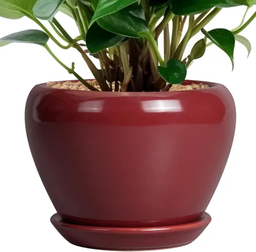 Miniatura 80 de Maceta de Cerámica Moderna con Esmalte para Suculentas con Agujero de Drenaje y Platillo, Maceta Redonda de 6 Pulgadas para Plantas de Flores