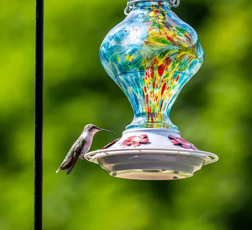 Miniatura 3 de BOLITE - Alimentador de colibríes, de vidrio soplado a mano, diseño torcido, para exteriores, con trampa para hormigas y cinco puertos de Azul