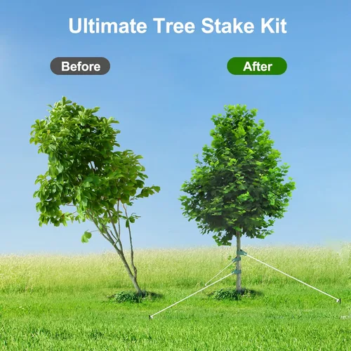 Miniatura 3 de Kits de estacas para árboles, estacas de árbol resistentes y kits de soporte para árboles jóvenes contra el mal tiempo, 3 estacas para árboles, 3