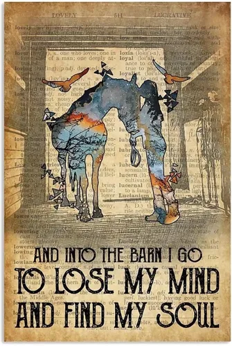 Letrero de metal con texto en inglés "Riding Horse, Into The Barn Lose My Mind and Find My Soul", letrero de lata retro para decoración de pared al