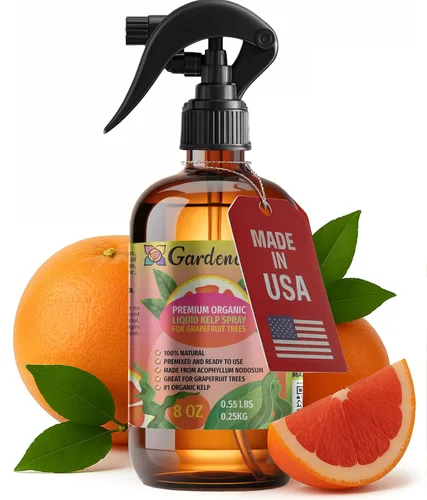 Miniatura 31 de GARDENERA Spray orgánico profesional de algas marinas para plantas AGLAONEMA – 8 oz – Rocío fertilizante de algas marinas y algas marinas totalmente