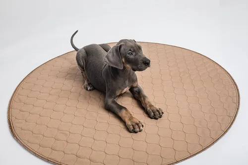 Miniatura 7 de EZwhelp almohadilla lavable para cachorro 36 pulgadas