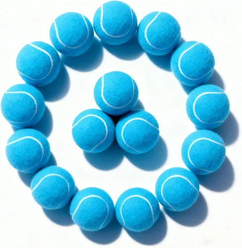 PoyPet Paquete de 16 pelotas de tenis a granel para práctica, entrenamiento y principiantes, ideales para buscar perros, masticar y jugar