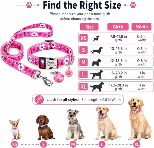 Miniatura 4 de Juego de collares de perro personalizados personalizados con correa de aire y soporte para etiqueta de aire con placa de identificación grabada
