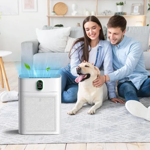 Miniatura 6 de CHIVALZ Paquete de 2 filtros de repuesto HY4866 True HEPA compatibles con el purificador de aire MORENTO HY4866, purificador de aire WESTHEY HY4866