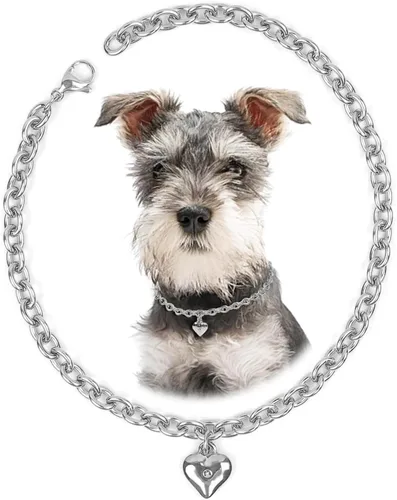 Miniatura 14 de HOWWFALY Collar para Perro y Cadena Collar para Gato de Acero Inoxidable Ajustable Collar en Forma de Corazón de Oro 18K para Mascotas Pequeñas