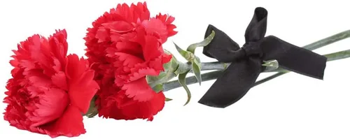 Miniatura 5 de LIUYAXI Cinta negra de doble cara, 1-1/2 pulgadas x 50 yardas, uso para envoltura de regalos, ramos de flores, fabricación de lazos, decoración