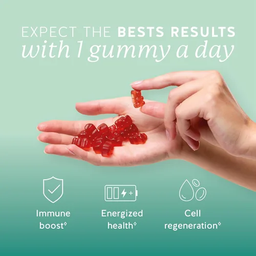 Miniatura 2 de Bears with Benefits Gomitas de apoyo inmunológico – Vitamina C, D, B6 y B12 – Impulso inmunológico diario – Veganas, con sabor natural (30 gomitas)