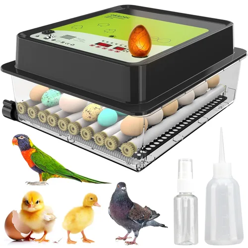 Incubadora OBI-36 para incubar huevos, 36 huevos, fácil de usar, control estable de temperatura y humedad con aislamiento Eggloo, color verde