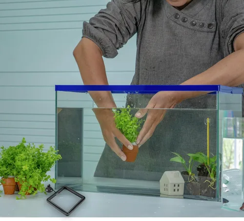 Miniatura 9 de SunGrow Anillo de alimentación de alimentos para peces, evita que las turbulencias del agua laven alimentos y plantas flotantes en el filtro