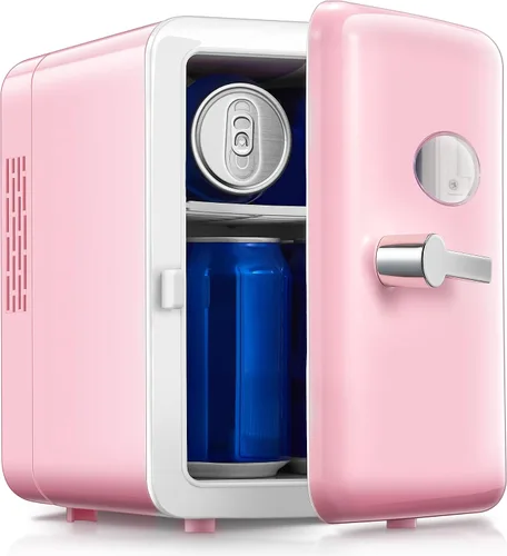 Reemix Mini nevera, 4L/6 latas, enfriador portátil retro para uso doméstico de 120 V y 12 V CC, refrigerador para el cuidado de la piel para Rosa