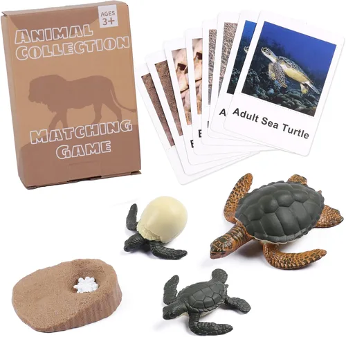 Miniatura 10 de MEROCO Juguetes de ciclo de vida de pollo para niños, insectos, hormigas, insectos, juguetes para niños de 3 a 5 años, tarjetas de animales