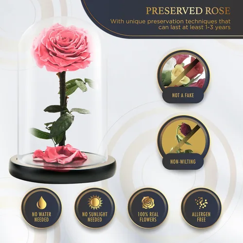Miniatura 2 de Rosa Preservada para Siempre – Rosa Eterna en Cúpula de Cristal – Rosa de la Bella y la Bestia para Mamá – Flores Frescas para Entrega Prime