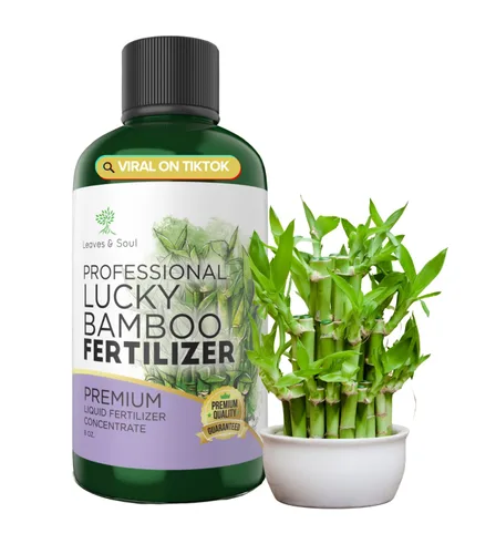 Miniatura 19 de Dracaena profesional fertilizante líquido 3-1-2 concentrado de 8 onzas, alimento líquido prémium para plantas de interior, fertilizante líquido