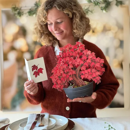 Miniatura 8 de Freshcut Paper Tarjetas desplegables, árbol de arce rojo, ramo de flores de tamaño real de 12 pulgadas, tarjeta de felicitación emergente 3D