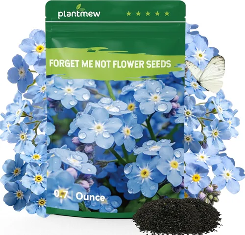 Miniatura 11 de Semillas de Alyssum para plantar, alfombra real morada, semillas de flores de Alyssum moradas dulces, semillas de cobertura del suelo perennes