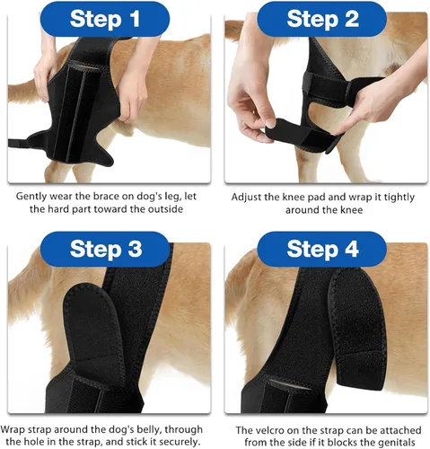 Miniatura 6 de Rodillera para perro, soporte ajustable para piernas de perro para desgarro del ligamento cruzado anterior, dolor de articulaciones, dolor muscular
