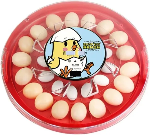 Rugg'EGG' Ranch REGGR30EIR - Incubadora de giro automático con tapa transparente de 30 huevos con pantalla digital de temperatura y humedad, color