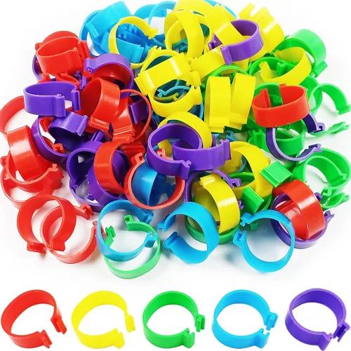 Miniatura 8 de 200Pcs 8mm Bandas para piernas de Coturnix y codorniz bebé Bandas para piernas de pollo Bandas para piernas de paloma Anillos para piernas de pollo