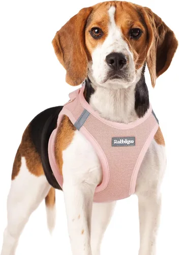 Miniatura 34 de rabbitgoo Arnés para perro pequeño, chaleco de malla suave para cachorros con hebilla de seguridad, arnés reflectante transpirable para mascotas