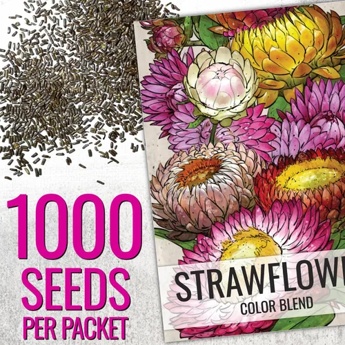 Miniatura 2 de Seed Needs Semillas de fresa para plantar, semillas anuales de flores tradicionales y polinizadas abiertas. Cultiva una colorida mezcla de flores