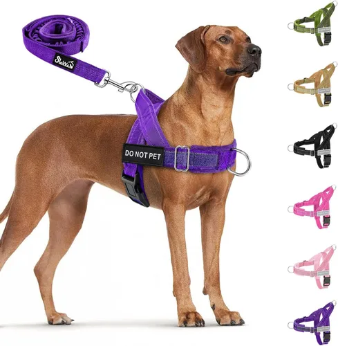 Miniatura 12 de SlowTon Arnés para perro sin tirones, juego de arnés y correa resistente para perros medianos y grandes, arnés táctico reflectante con acolchado