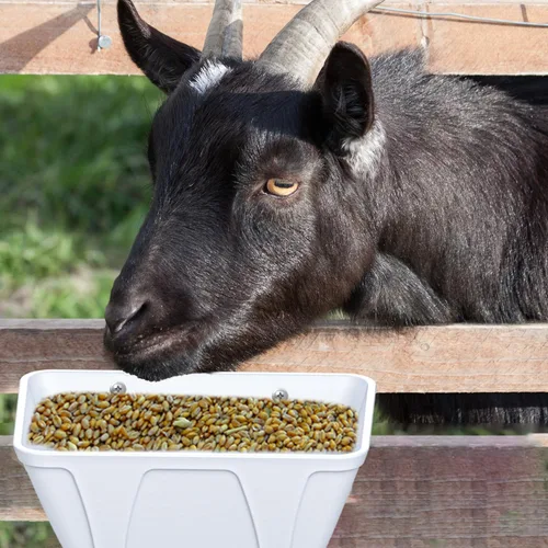 Miniatura 5 de mozoba Comedero Colgante para Pollo para Cabra, Oveja, Ciervo, Aves de Corral, Pato, Pollo, Valla de Alimentación, Contenedor de Alimentación