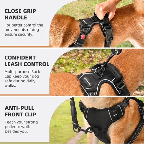 Miniatura 6 de Arnés para perro sin tirón y correa - Chaleco ajustable suave y acolchado, chaleco Oxford reflectante con asa de fácil control para perros pequeños