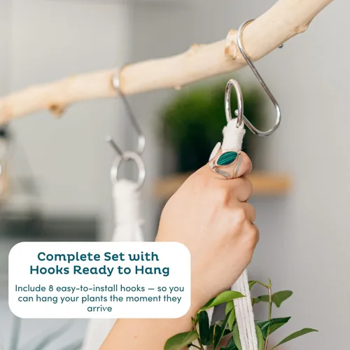 Miniatura 3 de Nook Theory Paquete de 4 Colgadores de Macramé para Plantas con 8 Ganchos - Macetas Colgantes para Plantas de Interior, Colgadores de Macramé Boho