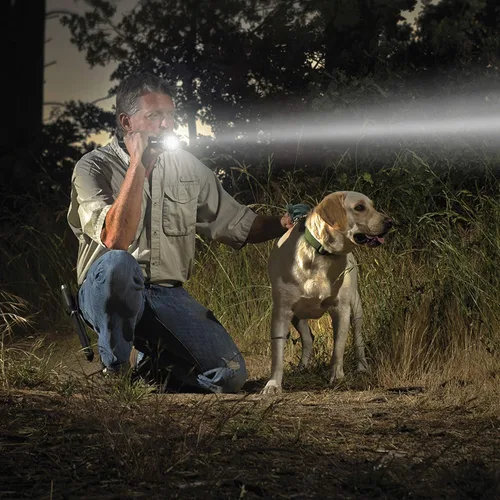 Miniatura 27 de MagLite, Linterna resistente incandescente de 2-células D en caja expositora
