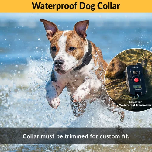 Miniatura 5 de Educator FOB FE-560 Collar de entrenamiento para perros con control remoto – Collar electrónico recargable impermeable de 300 yardas para perros más