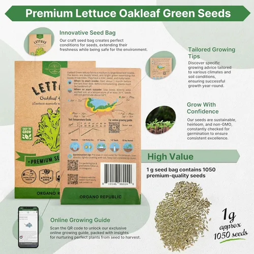 Miniatura 2 de Organo Republic Paquete de Semillas de Lechuga Hoja de Roble 1 G - Más de 800 Semillas de Lechuga Reliquia Sin OMG para Plantar Verduras en Paquete