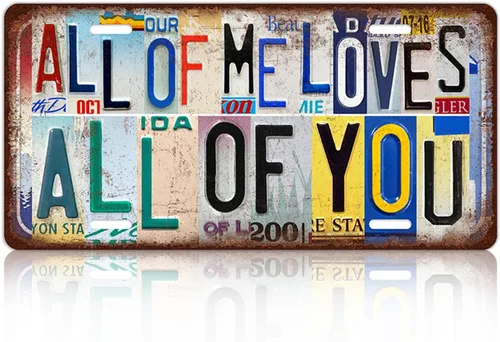 Placa de matrícula vintage para decoración de pared, letrero de metal para amante, 12 x 6 pulgadas, All Of Me Loves All Of You