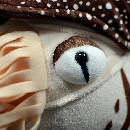 Miniatura 8 de Nautilus - Animal de peluche realista de Nautilus, juguete realista de Nautilus de 8 pulgadas, peluche suave de criaturas marinas modelo Nautilus