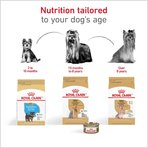 Miniatura 7 de Royal Canin Breed Health Nutrition Yorkshire Terrier - Alimento seco para perros adultos, bolsa de 2.5 libras