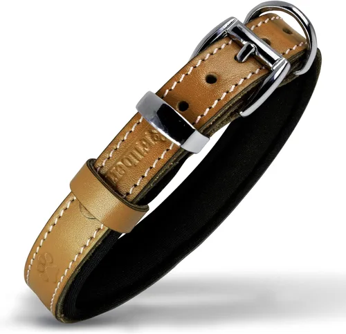 Miniatura 33 de Filbert Collar de cuero para perro, collar de cuero genuino para perros pequeños, estampado de patas en relieve con hebilla, grano completo curtido