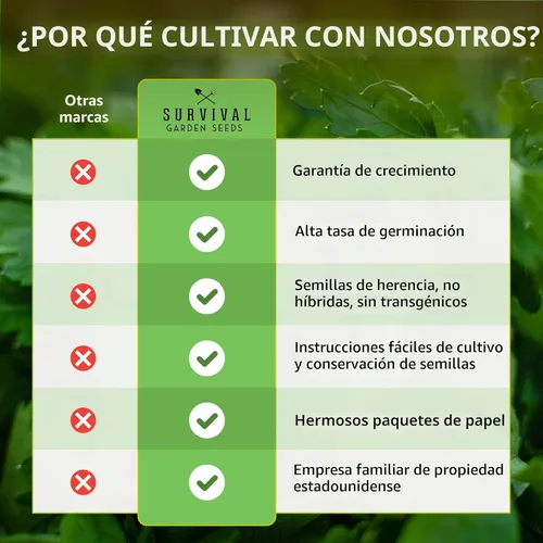 Miniatura 7 de Variedad de semillas de melón – 6 semillas autóctonas de melón cantalupo, melón y sandía para plantar – con Honey Rock, Hale’s Best, Tendersweet