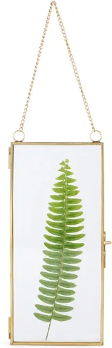 Miniatura 9 de NCYP Marco flotante de vidrio pequeño para flores secas prensadas, 4.1 x 9 pulgadas, clip para colgar en la pared, marco de fotos de doble vidrio