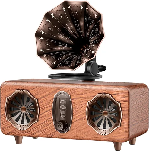 FREEFISH Altavoz Bluetooth Retro Radio Retro con Versión Bluetooth 5.4, Radio FM, Altavoz Inalámbrico Vintage con Graves Compatible con Reproductor