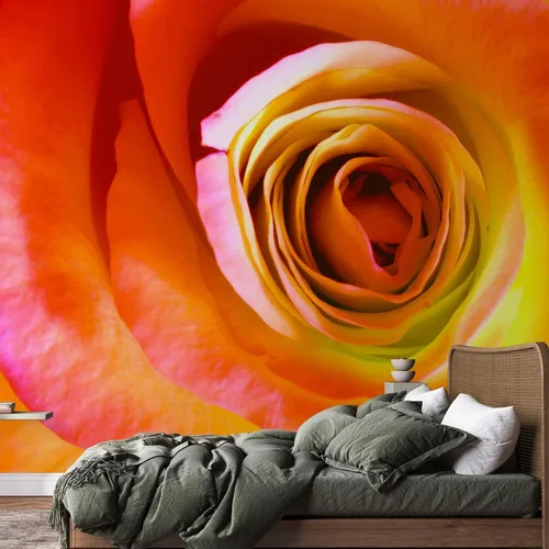 Miniatura 5 de artgeist Mural de pared Rosa de 157 x 122 pulgadas - Papel tapiz no tejido XXL, decoración de pared de forro polar, impresión fotográfica, diseño