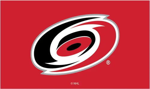 Miniatura 11 de Team Sports America Tapete con licencia oficial de la NHL 28 x 16 pulgadas (Anaheim Ducks)