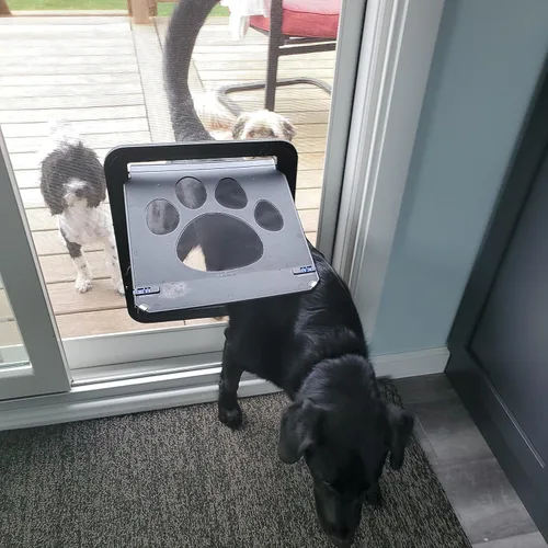 Miniatura 8 de Puerta de perro grande para puerta mosquitera, fácil de instalar Puerta mosquitera para mascotas con cerradura para puerta corredera, puerta