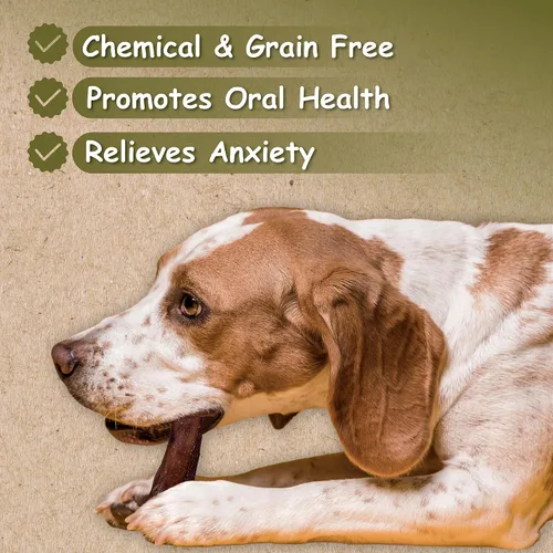 Miniatura 3 de Palitos masticables Bully estándar de 12 pulgadas por Top Dog Chews (paquete de 12)