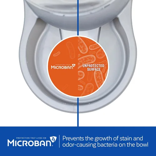 Miniatura 3 de Comedero Petmate rellenable con protección antibacteriana Microban, Blanco Perlado 2-Gris perla y plata.