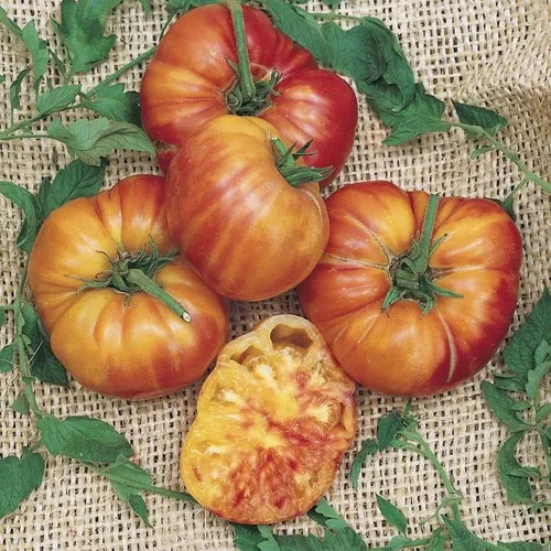 Miniatura 2 de Semillas de tomate arcoíris a rayas grandes, más de 100 semillas para cultivar, cultivar tomates exóticos sabrosos, sin OMG
